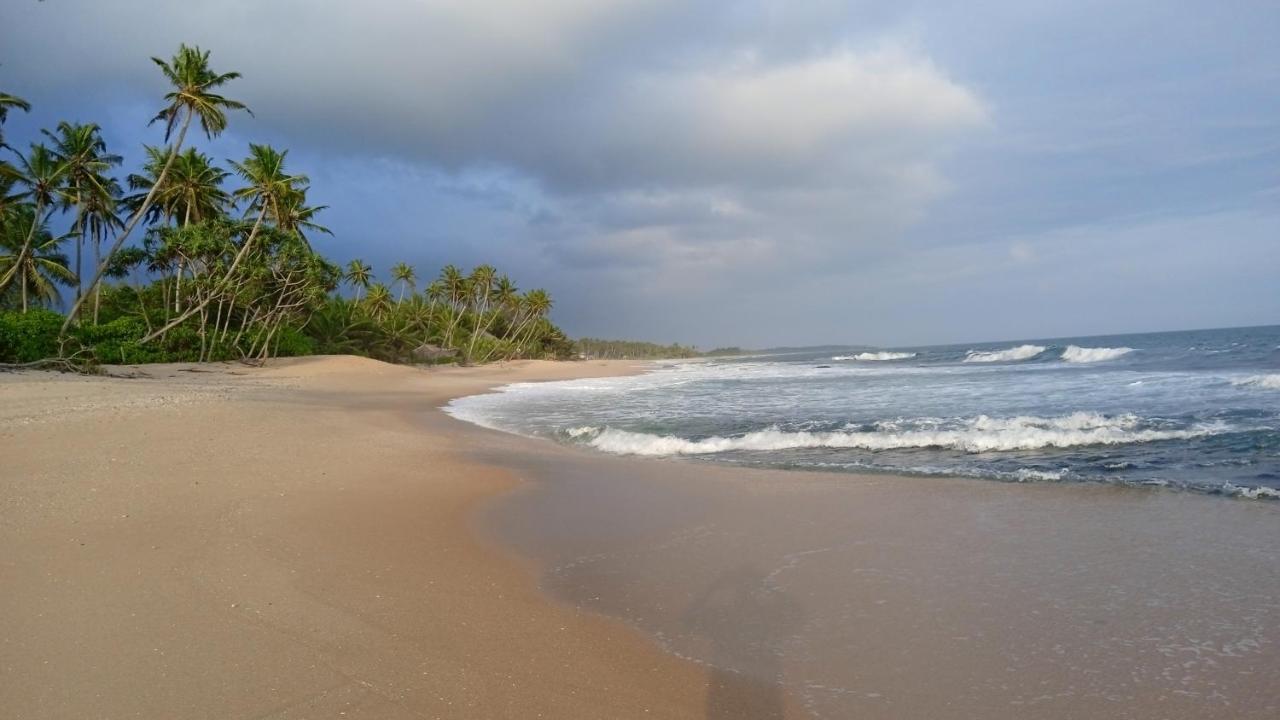 Gems Garden Guest House Tangalle Exterior foto