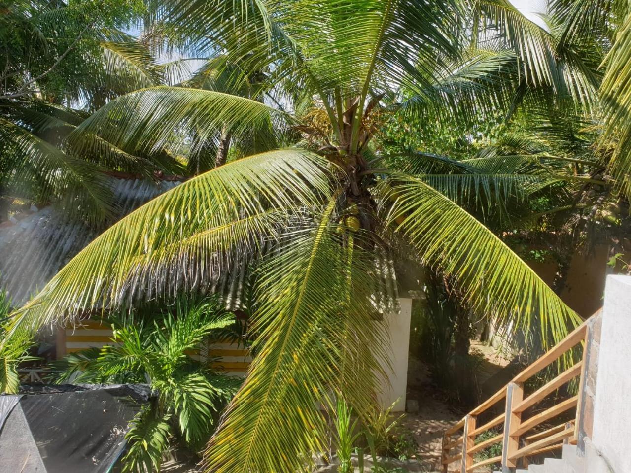 Gems Garden Guest House Tangalle Exterior foto